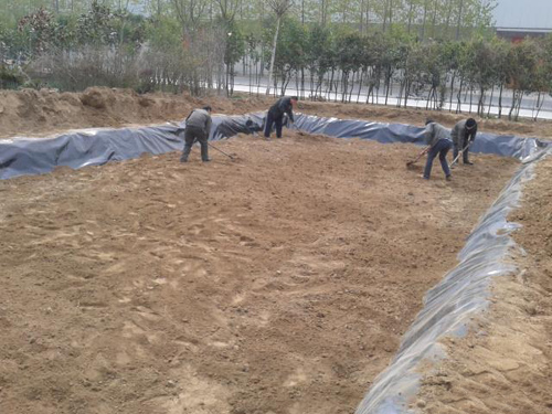 蓮藕養殖防滲膜廠家